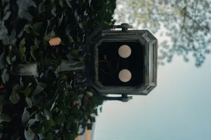 ΣπινΤρόπολις Καζίνο Κινητη εφαρμογη